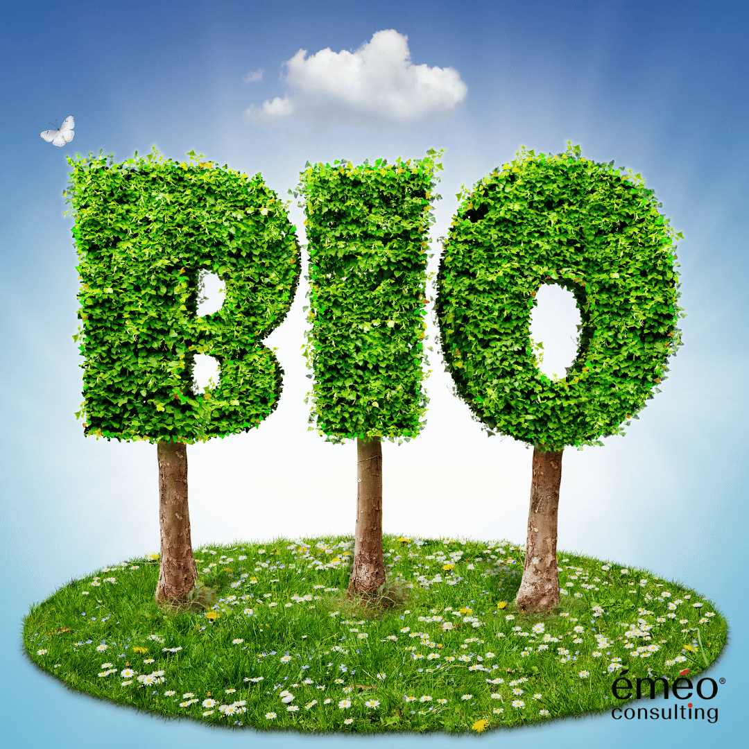 Durabilité 3: Cosmétiques Bio et Naturels. Certifications et associations