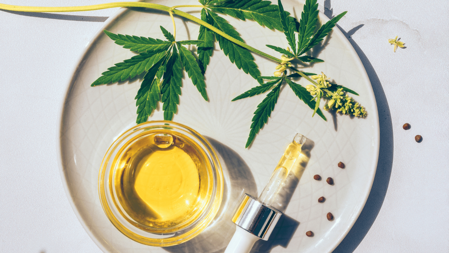 CBD et Huile de Chanvre : quelles différences et quels bienfaits pour la peau ?