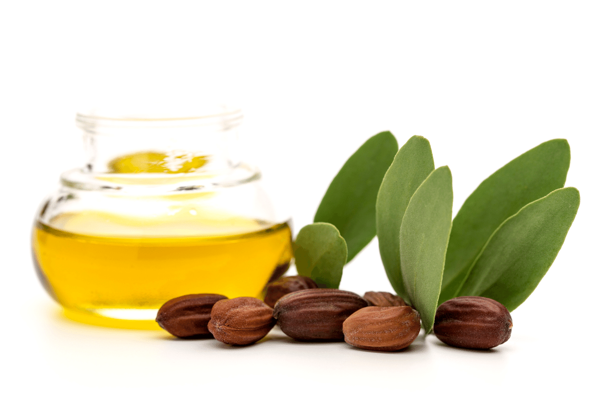 Les bienfaits de l’huile de Jojoba